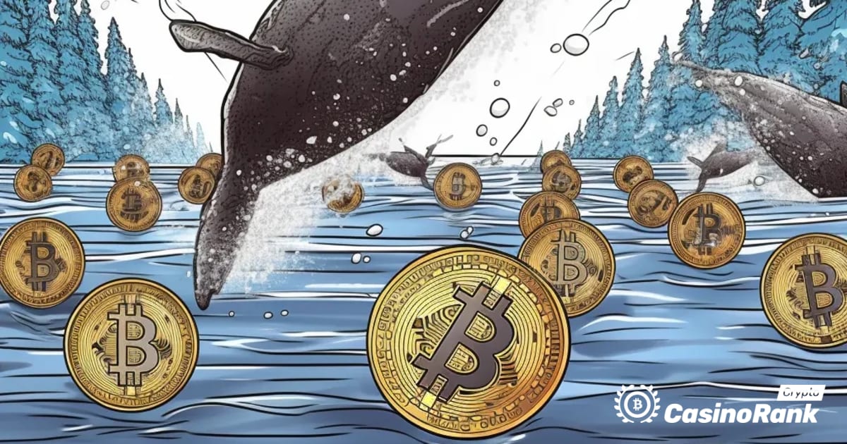 Walvisbewegingen op de cryptocurrency-markt: MATIC- en SOL-tokens overgedragen